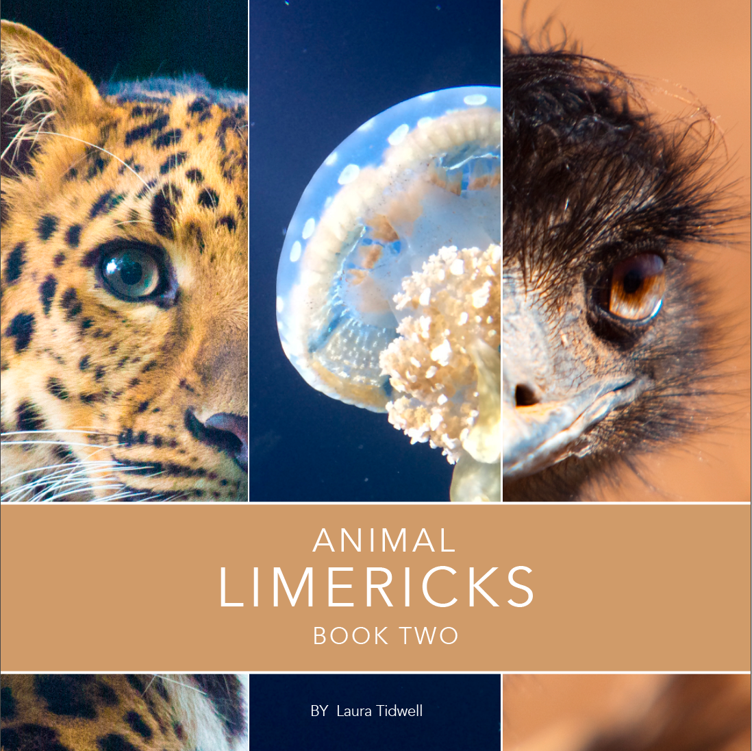 Animal Limericks Book Two - By Laura Tidwell