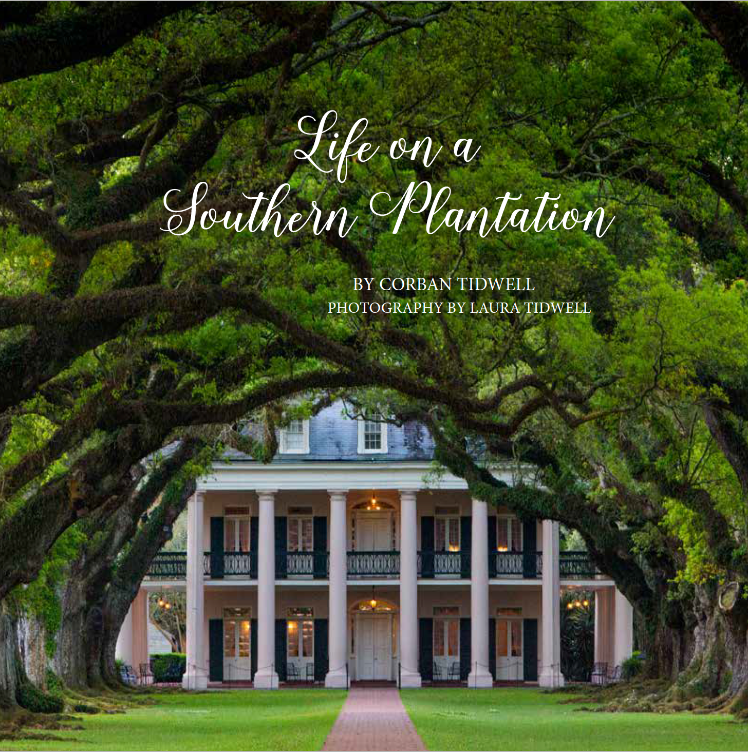 Life on a Southern Plantation