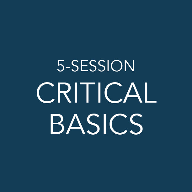 The 5 Session Critical Basics Training
