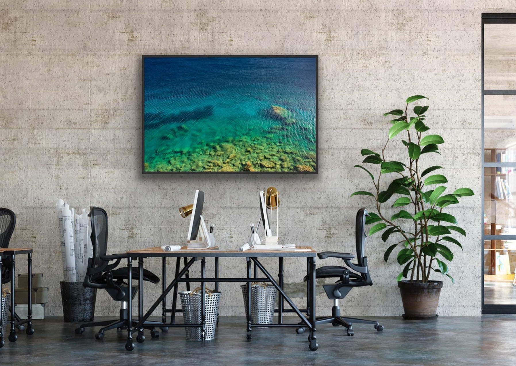 Shallows