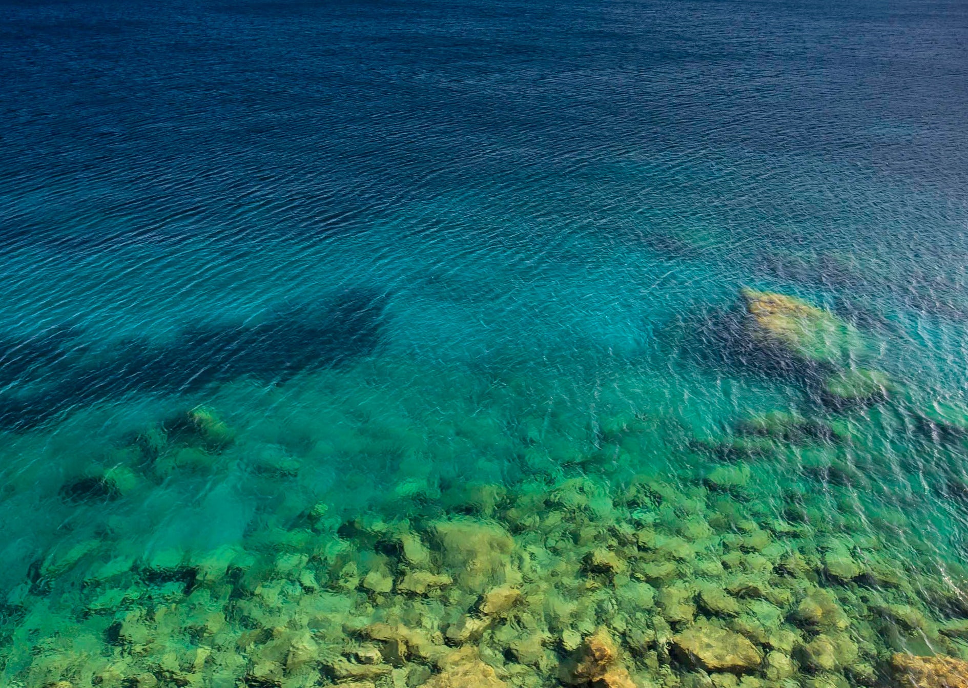 Shallows