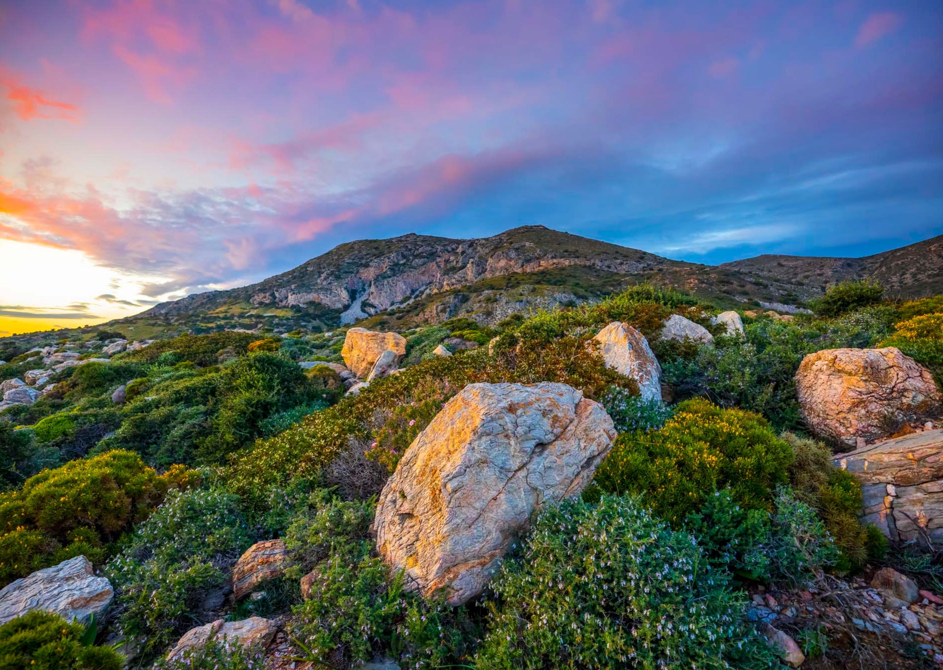Hillside Sunset