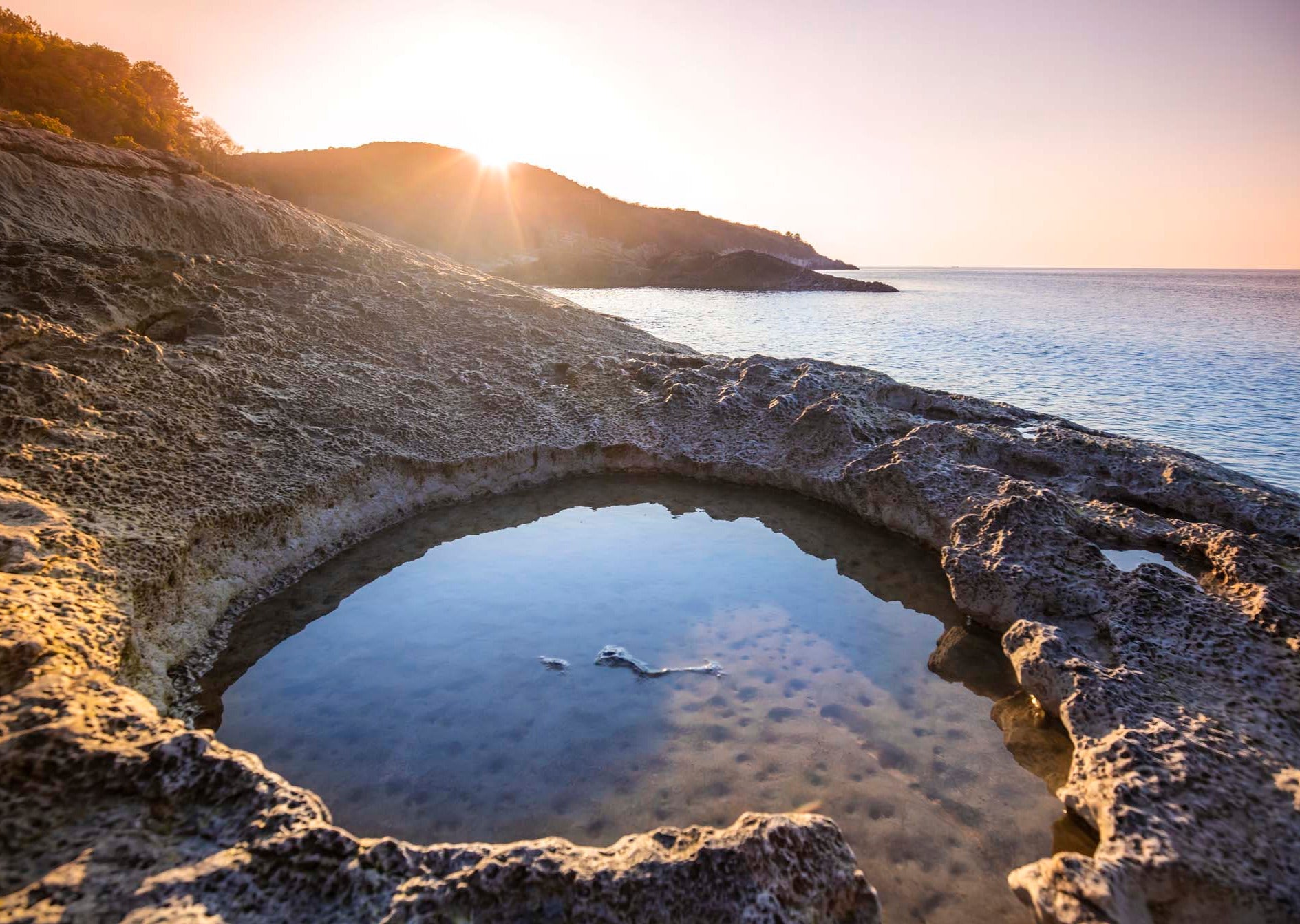 Tide Pool
