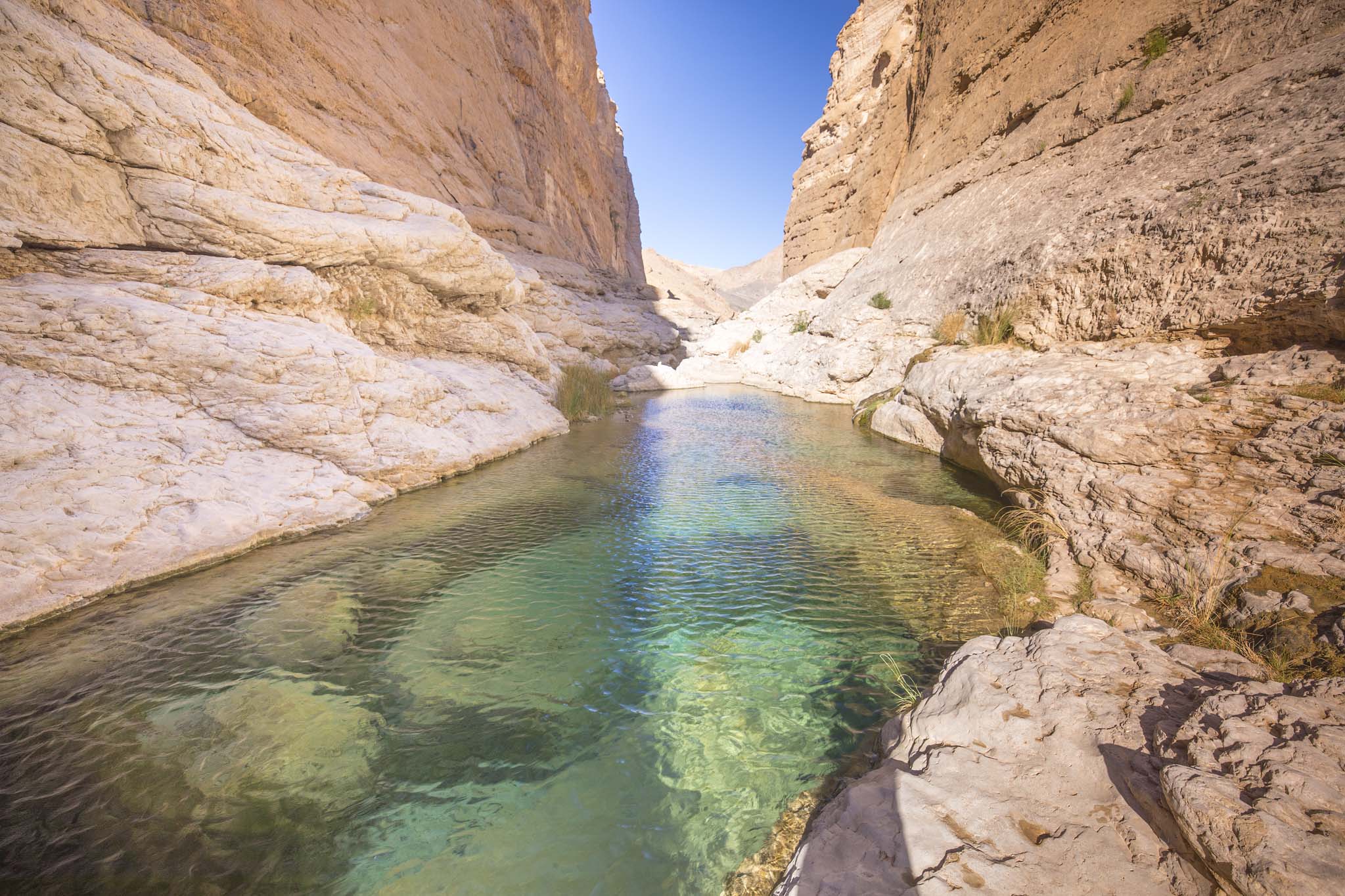 The Wadi