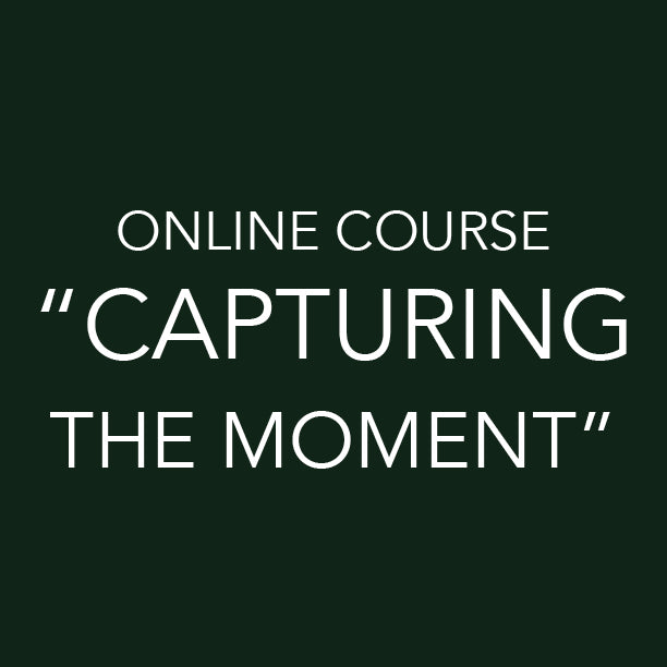 The Beginners Course to Capturing the Moment
