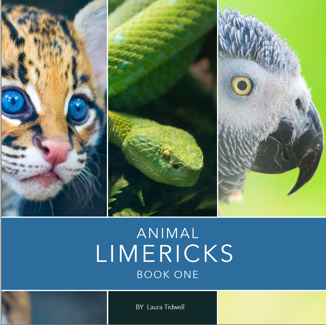 Animal Limericks Book One - By Laura Tidwell
